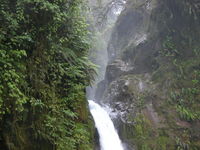 /Bilder/Orte/Costa Rica/Wasserfall.jpg